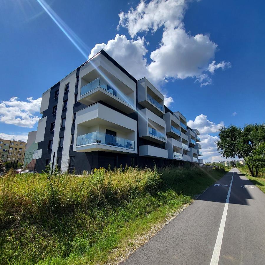 Apartment Vincent Krapkowice